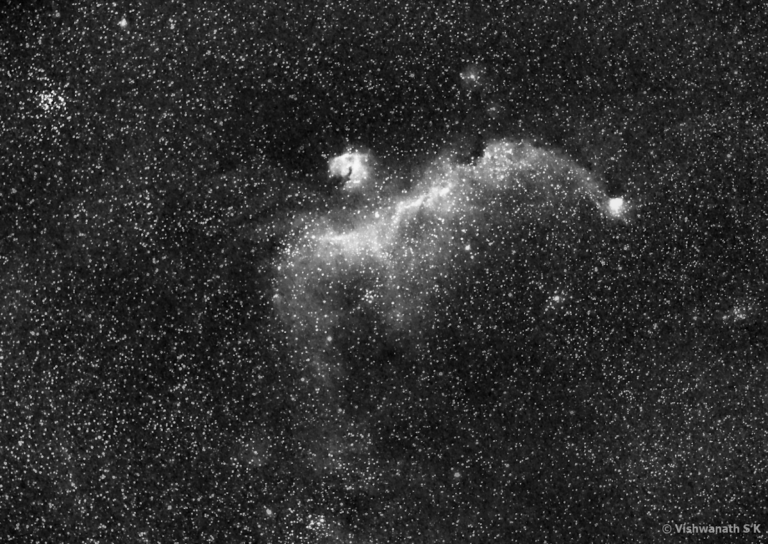 Glowing hydrogen gas in the Seagull Nebula, shot from Bangalore.