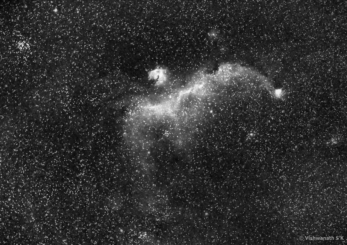 Glowing hydrogen gas in the Seagull Nebula, shot from Bangalore.